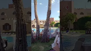 Бассейн отель Nubian Island 5