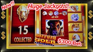 💵New 15 GOLD HEADS 2024 Buffalo Gold Revolution Slot | BIGGEST JACKPOT HANDPAY