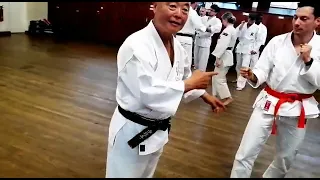 Lesson from grand master sensei Mizuno