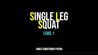 Single Leg Squat Level 1
