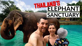 BATH TIME WITH ELEPHANTS! | Phuket, Thailand's Elephant Sanctuary