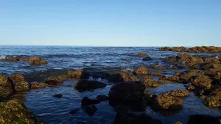 PUERTO LOBOS, CABORCA, SONORA, MEXICO