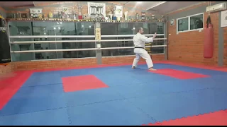 1 Kata HEIAN SHODAN | Karate Shotokan - Andre Maraschin