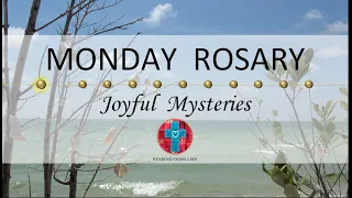 Monday Rosary • Joyful Mysteries of the Rosary 💙 August 14, 2023 VIRTUAL ROSARY - MEDITATION