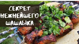 Секрет самого нежного шашлыка | Шашлык можно есть губами