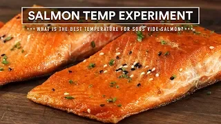 Sous Vide SALMON TEMPERATURE Experiment!