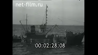 1956г. г.Невельск. рыболовный комбинат. Сахалинская обл