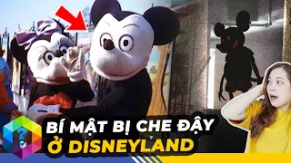 9 Bí Mật Bị Che Giấu Tại Công Viên Disneyland Không Muốn Cho Bạn Biết - Top 1 Khám Phá