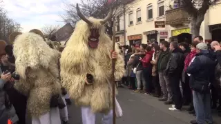 Шествие ряженых и проводы зимы в Мохаче