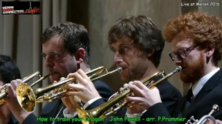 Vienna Brass Connection - How to train your dragon - John Powell