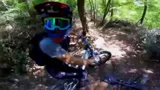 Blue Line | MTB Enduro / Downhill