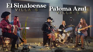 Villa 5 - El Sinaloense - Paloma Azul (En Vivo)