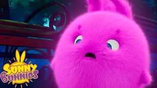 Nightmare Glow | SUNNY BUNNIES | Cartoons for Kids | WildBrain Bananas