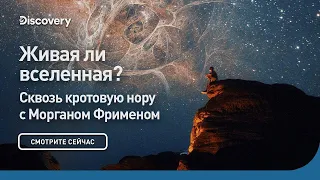 Живая ли Вселенная? | Сквозь кротовую нору с Морганом Фрименом | Discovery