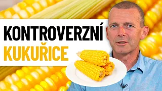 Patří kukuřice do našeho jídelníčku a v jaké formě se jí určitě vyhnout?