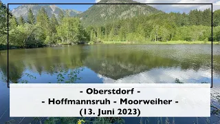 Oberstdorf [Hoffmannsruh - Moorweiher] (13. Juni 2023)