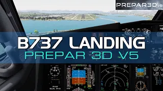 Boeing 737 800 Landing Rio de Janeiro | Prepar3d V5 Cockpit view Gameplay HD