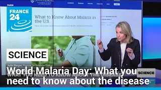 World Malaria Day 2024: What you need to know about the disease • FRANCE 24 English