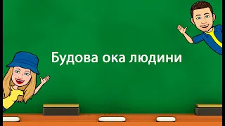 Будова ока людини. (5 клас «Природничі науки» НУШ)