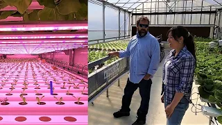 Awesome High Tech Hydroponics at CropKing