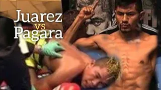 This is what happen when the boxer was over confident..Juarez vs Pagara knockout highlights