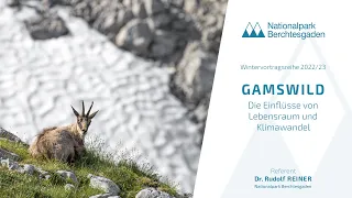 GAMSWILD ‌– Die Einflüsse von Lebensraum und Klimawandel