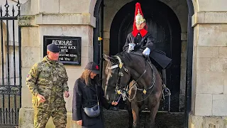 DON'T HOLD THE REINS - it's not YOUR horse! The King's Guard deals with touchy tourists!