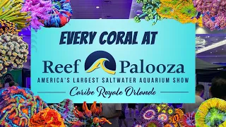 Every Coral At Reef-A-Palooza Orlando 2023!