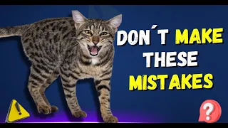 20 Mistakes Cat Owners Make, Avoid as Much as 19