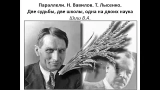 Параллели. Н. Вавилов. Т. Лысенко. Две судьбы, две школы, одна на двоих наука.