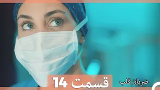 Zarabane Ghalb - ضربان قلب قسمت 14