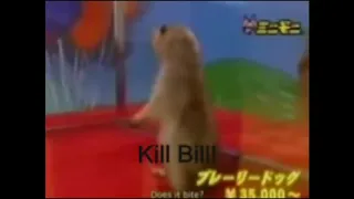 Hamster Kill Bill