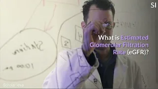 what is Estimated Glomerular Filtration Rate (EGFR)?