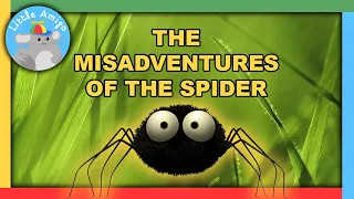 Minuscule | Best of the Spider! 🕷️ | Compilation |  Little Amigo