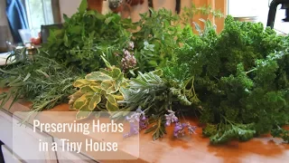 Life in a Tiny House called Fy Nyth - Preserving Herbs - 10/4/17