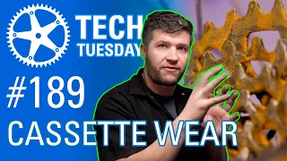 Cassette Wear | Tech Tuesday #189