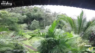 Bali Eco Stay Guru Bungalow