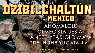 Dzibilchaltún, Mexico | Anomalous Olmec Statues at 4000 year old Maya Site | Megalithomania