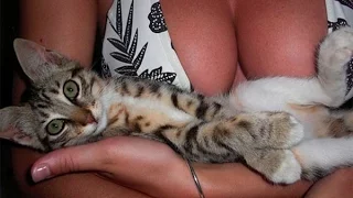 Приколы с животными №14. Fun with animals #14