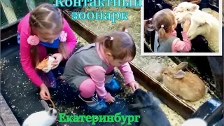 Парк бабочек / Контактный зоопарк Екатеринбурга / Влог