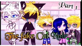 The FAKE Cat Noir | Part 1? | MLB | Enjoy~