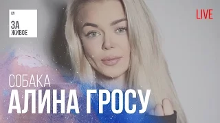 Алина Гросу - Собак@ / За Живое (live)