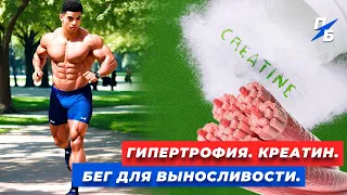 Как принимать креатин. Бег для выносливости. Растяжка мышц и гипертрофия. Почему люди качают мышцы