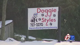 Pet spa owner accused of animal cruelty, assault