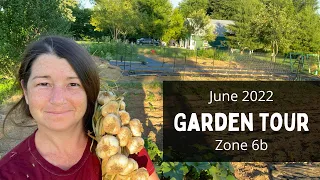 JUNE GARDEN TOUR | Zone 6b | Homestead Garden Tour
