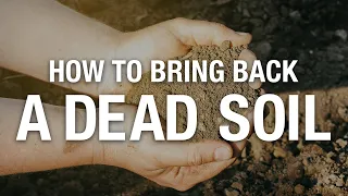 2 Minute Turf Talk - How To Bring Back a Dead Soil