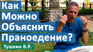 КАК МОЖНО ОБЪЯСНИТЬ ПРАНОЕДЕНИЕ? • ВАСИЛИЙ ТУШКИН