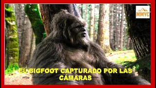 8 VECES QUE PIE GRANDE, YETI, BIGFOOT, FUE CAPTADO EN CÁMARA