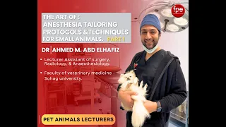 The Art Of: Anesthesia Tailoring Protocols & Techniques for Small Animals. Part 1