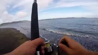Fishing Time NZ - Surfcasting Port Waikato River Mouth